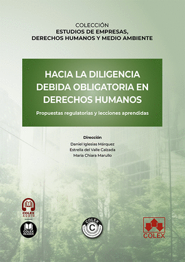 HACIA LA DILIGENCIA DEBIDA OBLIGATORIA EN DERECHOS HUMANOS