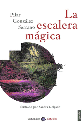 LA ESCALERA MAGICA