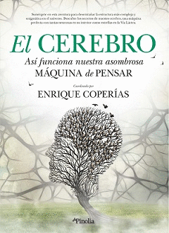 EL CEREBRO