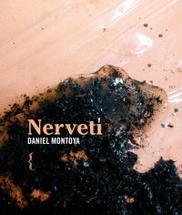 NERVETI