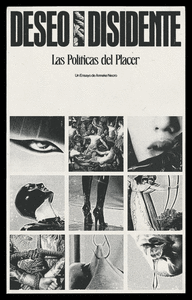 DESEO DISIDENTE:LAS POLITICAS DEL PLACER