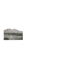 NATURALEZA Y CONVENCI�N