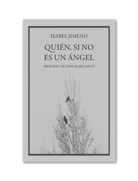 QUI�N, SI NO ES UN �NGEL
