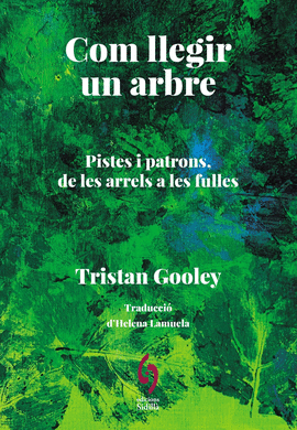 COM LLEGIR UN ARBRE:PISTES I PATRONS ARRELS