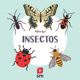 NATURALEZA INSECTOS