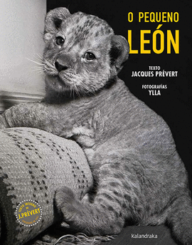 O PEQUENO LEON