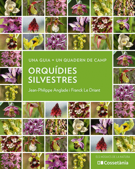 ORQU�DIES SILVESTRES