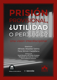 PRISION PROVISIONAL, �UTILIDAD O PERJUICIO?