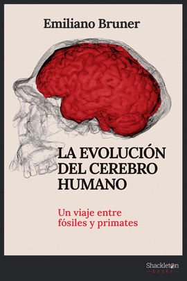 LA EVOLUCIN DEL CEREBRO HUMANO