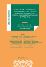 VIABILIDAD DE LAS EMPRESAS MANTENIMIENTO DEL EMPLEO MEDIDA