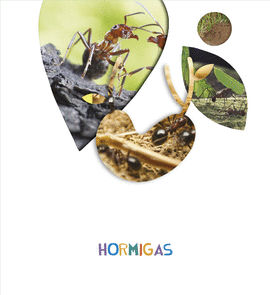 PROYECTO LO VES? - 5 AOS : HORMIGAS