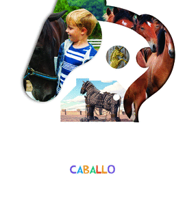 PROYECTO LO VES? : CABALLO