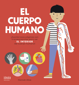 EL CUERPO HUMANO