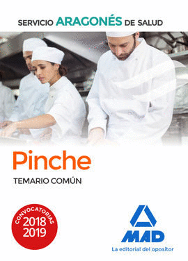PINCHE DE SERVICIO ARAGONÉS DE SALUD (SALUD-ARAGÓN). TEMARIO COMÚN.