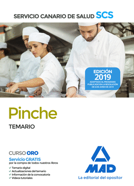 019 PINCHE SERVICIO CANARIO SALUD -TEMARIO