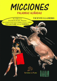 MICCIONES