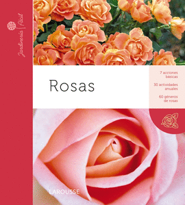 ROSAS             JARDINERIA FACIL