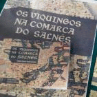 OS VIQUINGOS NA COMARCA DO SALN�S