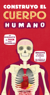 CONSTRUYO EL CUERPO HUMANO UN ESQUE