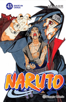 43.NARUTO