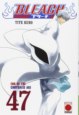 BLEACH 47