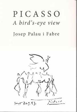 PICASSO A BIRD'S-EYE VIEW