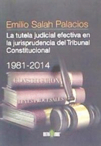 LA TUTELA JUDICIAL EFECTIVA EN LA JURISPRUDENCIA DEL TRIBUNA