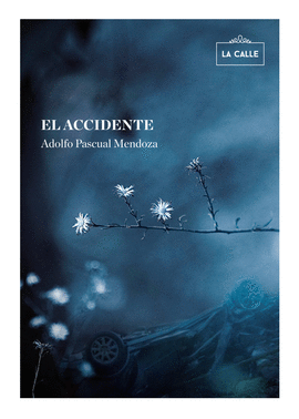 EL ACCIDENTE