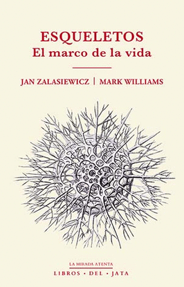 ESQUELETOS EL MARCO DE LA VIDA