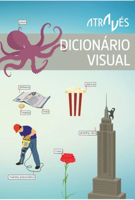 DICIONRIO VISUAL (2ED)