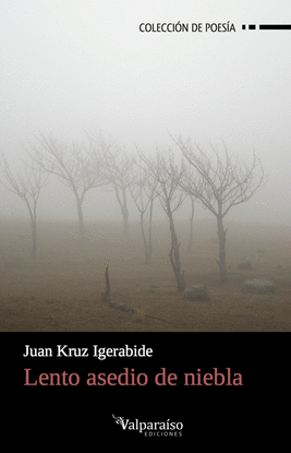 LENTO ASEDIO DE NIEBLA