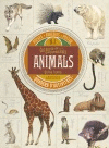 COL.LECCI� DE CURIOSITATS. ANIMALS