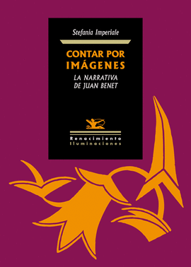 CONTAR POR IM�GENES