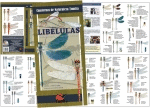 LIB�LULAS. INTRODUCCI�N A LAS ESPECIES IB�RICAS