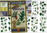 �RBOLES. INTRODUCCI�N A LAS ESPECIES IB�RICAS