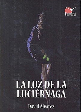 LA LUZ DE LA LUCI�RNAGA