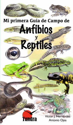 MI PRIMERA GUA DE CAMPO DE ANFIBIOS Y REPTILES