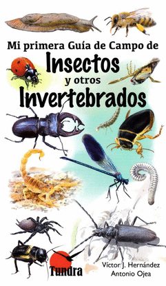 MI PRIMERA GUA DE CAMPO DE INSECTOS Y OTROS INVERTEBRADOS