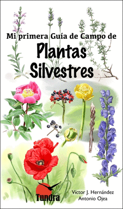 MI PRIMERA GUIA CAMPO PLANTAS SILVESTRES