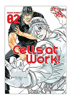 CELLS AT WORK!