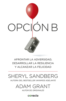 OPCI�N B