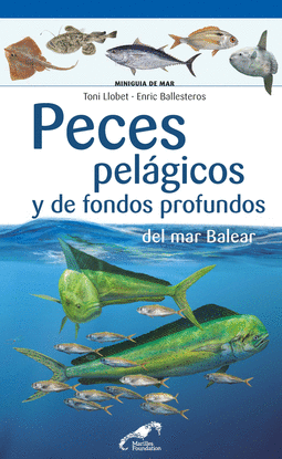 PECES PELGICOS Y DE FONDOS PROFUNDOS DEL MAR BALEAR