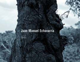 JUAN MANUEL ECHAVARRA. WORKS