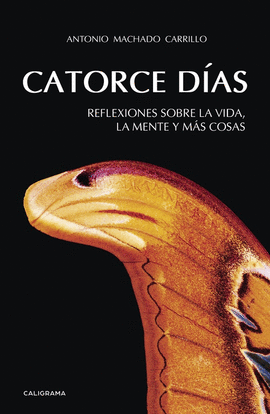 CATORCE D�AS
