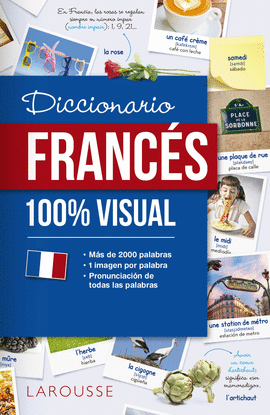 DICCIONARIO DE FRANCS 100% VISUAL
