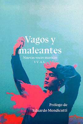 VAGOS Y MALEANTES