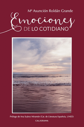 EMOCIONES DE LO COTIDIANO