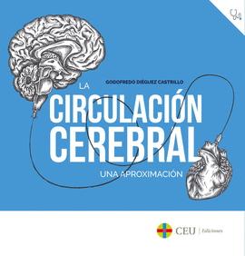 LA CIRCULACIN CEREBRAL.