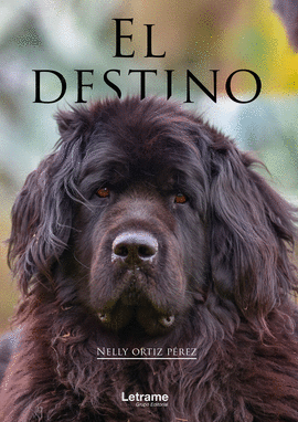 EL DESTINO
