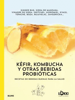 KFIR, KOMBUCHA Y OTRAS BEBIDAS PROBITICAS